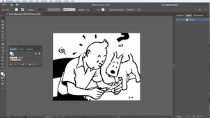 Vectorisation Automatique