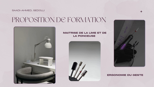 Didactique professionnelle Saadi-Ahmed, Sedolli- 2025.mp4