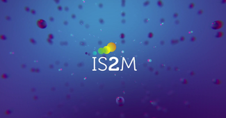 Biomaterials-biointerfaces at IS2M