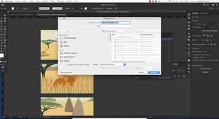 Paramétrer un fichier Illustrator pour After effects