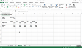 Consolidation de données - Vidéo 07 : Utiliser des cellules d'une autre feuille de calcul