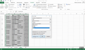 Consolidation de données - Vidéo 05 : Insérer plusieurs sous-totaux