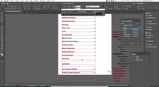 Rapport de stage 4. Table des Matières et PDF / MMI / E. Dufresne