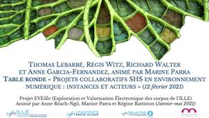 « Projets collaboratifs SHS en environnement numérique : instances et acteurs » (février 2021)