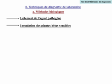 Phytopathologie, Méthodes de diagnostic de laboratoire, Apprentis
