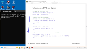 Développement javascript avancé, Cours 5, vidéo 3/5 : serveurs web avec Express