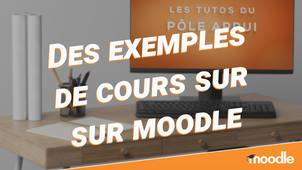 Des exemples de cours sur Moodle