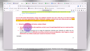 portfolio_S2_Camtasia.mp4