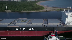 10 plus grands vraquiers