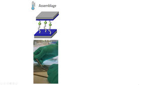 video adhésion réversible