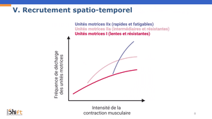 Physiologie du muscle - Sommation des Unités motrices.mp4