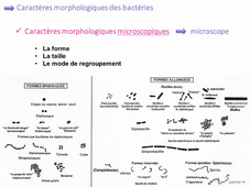 Observation Micro-Macroscopiques
