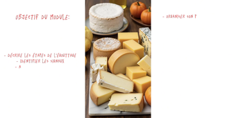 Didactique professionnelle - BADER, BERTHET, DA SILVA COELHO, LUTZ SCHLAWICK, ROUSSEY