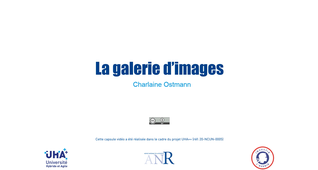 Tutoriel - Galerie images sur Moodle