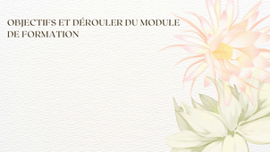 Vidéo didactique professionnelle.mp4