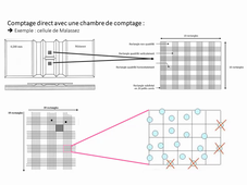 Détermination-Charge-Bactérienne