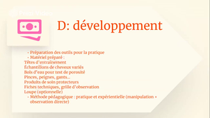 CIYIM Asli_STAHL Ludivine_Analyse d'une activité professionnelle.mp4