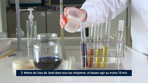 Quoi faire en FIN de TP microbiologie ?