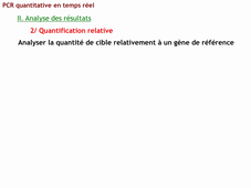 qPCR-cours2